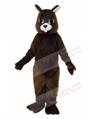 Brown Squirrel Mascot Costumes 