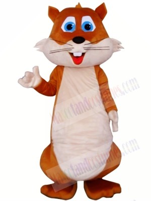 High Quality Chubby Squirrel Mascot Costumes 