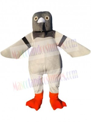 Pigeon Mascot Adult Costume