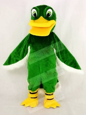 Funny Green Duck Mascot Costume School