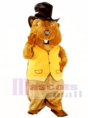 Mr. Beaver Mascot Costume