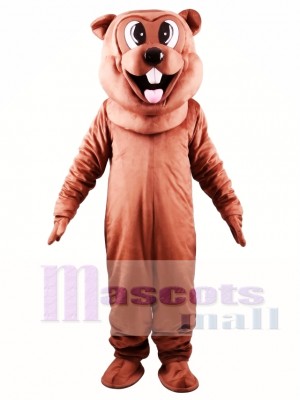 Beaver Mascot Costume