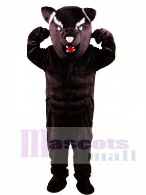 Black Panther Power Cat Mascot Costume