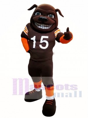 Sun Football Bull Dog Mastiff Mascot Costume