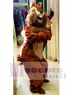 Animal Squirrel Mascot Costume