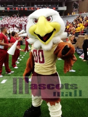 College Eagles Mascot Costume