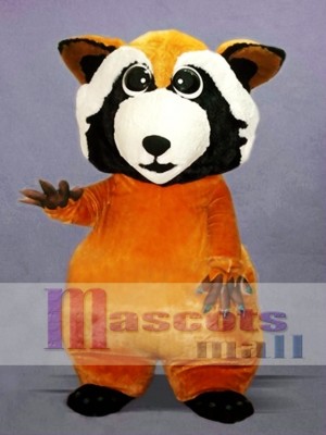 Little Cute Raccoon Mascot Costume