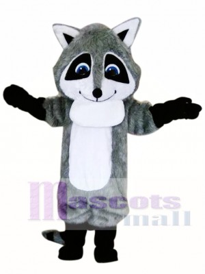 Cute Gray Raccoon Mascot Costume