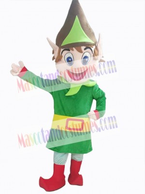 Elfe Boy mascot costume