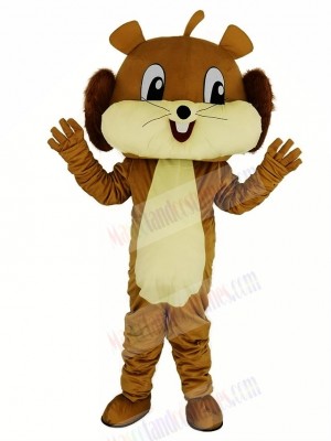 Cute Brown Squirrel Mascot Costume Animal