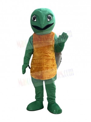 Turtle mascot costume