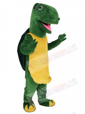 Tortoise mascot costume