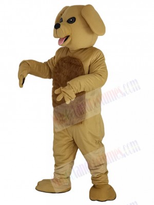 Dog mascot costume