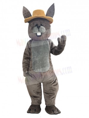 Easter Bunny Rabbit mascot costume