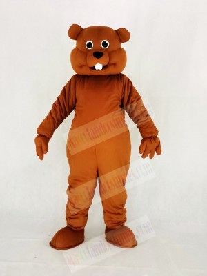Cute Brown Nutty Squirrel Mascot Costume College	