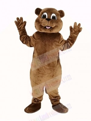 Woody Woodchuck Mascot Costume Animal