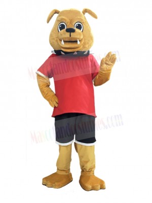 Bulldog Dog mascot costume