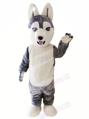 Cute Grey Husky Dog Mascot Costumes Animal