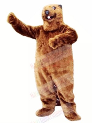 Best Quality Beaver Mascot Costumes Animal