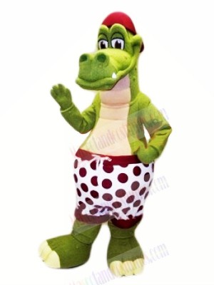 Best Quality Crocodile Mascot Costumes Animal