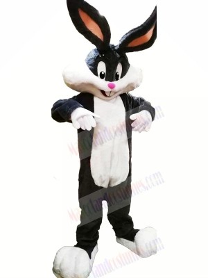 Cute Bunny with Long Ears Mascot Costumes Animal