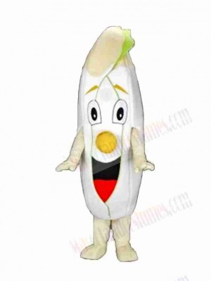 Chicory Salad Mascot Costume