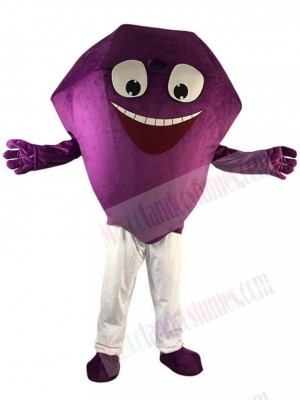 Diamond mascot costume