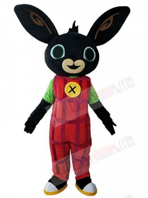 Rabbit mascot costume