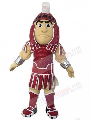 Knight mascot costume