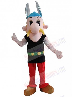 Asterix Obelix mascot costume