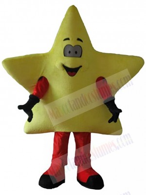 Star mascot costume