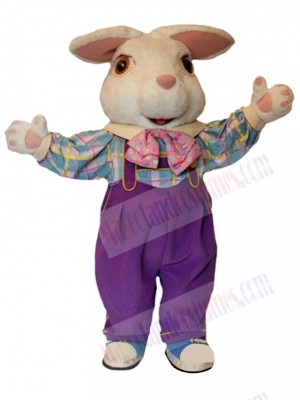 Easter Bunny Rabbit mascot costume