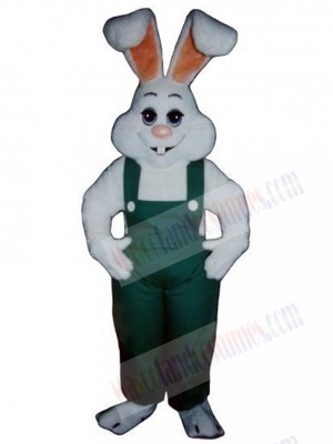 Easter Bunny Rabbit mascot costume