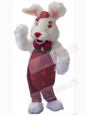 Easter Bunny Rabbit mascot costume