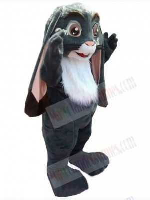 Easter Bunny Rabbit mascot costume