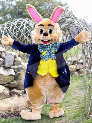 Easter Bunny Rabbit mascot costume