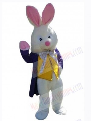 Easter Bunny Rabbit mascot costume