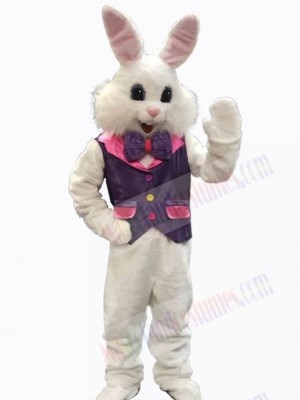 Easter Bunny Rabbit mascot costume