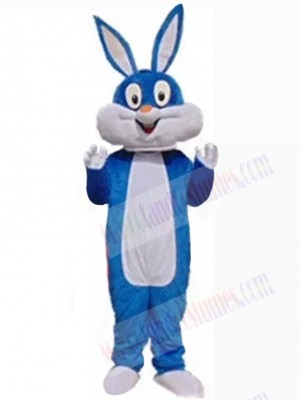 Easter Bunny Rabbit mascot costume