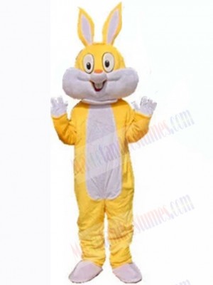 Easter Bunny Rabbit mascot costume