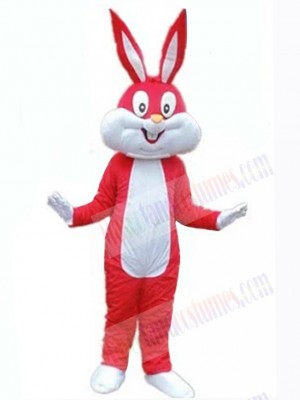 Easter Bunny Rabbit mascot costume