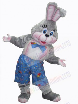 Easter Bunny Rabbit mascot costume