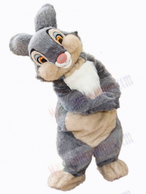 Easter Bunny Rabbit mascot costume