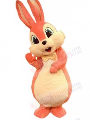 Easter Bunny Rabbit mascot costume