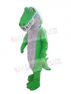 Crocodile mascot costume