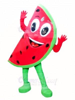 Watermelon Mascot Costume 