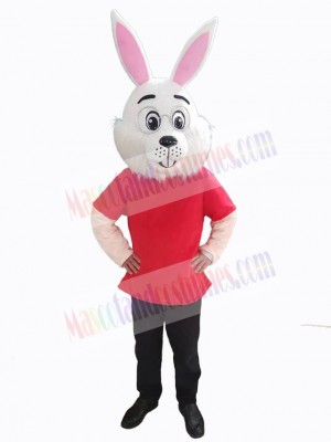 Easter Bunny Rabbit mascot costume