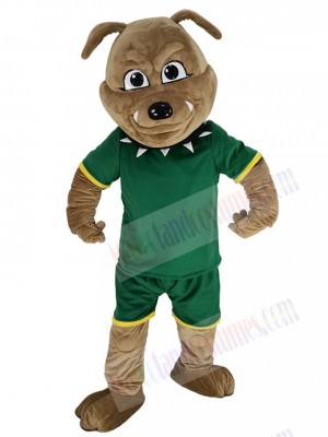 Bulldog mascot costume