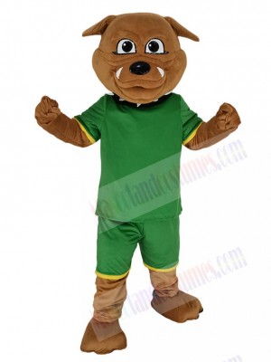 Bulldog mascot costume