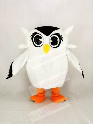 Cute White Owl Mascot Costume Cartoon